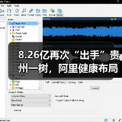 8.26亿再次“出手”贵州一树，阿里健康布局药店“野心”不小