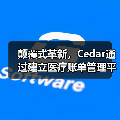 颠覆式革新，Cedar通过建立医疗账单管理平台改善用户体验（图4）