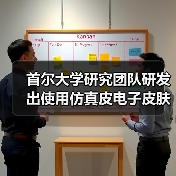 首尔大学研究团队研发出使用仿真皮电子皮肤的机器人，可自由移动（图2）