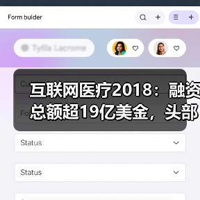 互联网医疗2018：融资总额超19亿美金，头部企业业务线多（图4）