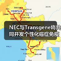 NEC与Transgene将共同开发个性化癌症免疫疗法(图4) NEC与Transgene将共同开发个性化癌症免疫疗法(图4)