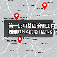第一批用基因编辑工具定制DNA的婴儿即将诞生?(图3) 第一批用基因编辑工具定制DNA的婴儿即将诞生?(图3)