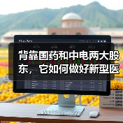 背靠国药和中电两大股东，它如何做好新型医疗服务运营商？（图1）