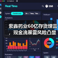 紫鑫药业60亿存货埋雷，现金流暴雷风险凸显（图4）