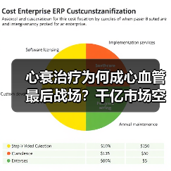心衰治疗为何成心血管最后战场?千亿市场空间待掘(图3) 心衰治疗为何成心血管最后战场?千亿市场空间待掘(图3)