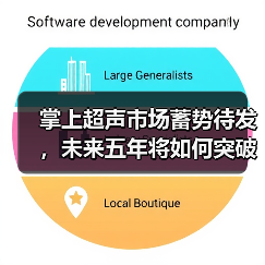 掌上超声市场蓄势待发，未来五年将如何突破应用瓶颈？（图2）