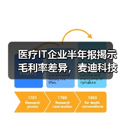 医疗IT企业半年报揭示毛利率差异，麦迪科技为何独领风骚？（图2）