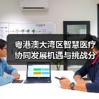 粤港澳大湾区智慧医疗协同发展机遇与挑战分析(图2) 粤港澳大湾区智慧医疗协同发展机遇与挑战分析(图2)