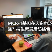 MCR-1基因在人狗中泛滥?抗生素最后防线告急(图1) MCR-1基因在人狗中泛滥?抗生素最后防线告急(图1)