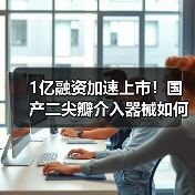 1亿融资加速上市！国产二尖瓣介入器械如何突破？（图4）