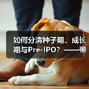 如何分清种子期、成长期与Pre-IPO?——带你3分钟搞懂风险投资的四大类型(图2) 如何分清种子期、成长期与Pre-IPO?——带你3分钟搞懂风险投资的四大类型(图2)