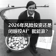 2026年风险投资还是“闭眼投AI”就能赢?(图3) 2026年风险投资还是“闭眼投AI”就能赢?(图3)