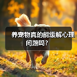 养宠物真的能缓解心理问题吗?(图1) 养宠物真的能缓解心理问题吗?(图1)