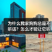 为什么我家狗狗总是不听话?怎么才能让它听我的?(图3) 为什么我家狗狗总是不听话?怎么才能让它听我的?(图3)