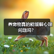 养宠物真的能缓解心理问题吗?(图3) 养宠物真的能缓解心理问题吗?(图3)