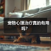 宠物心理治疗真的有用吗？（图3）