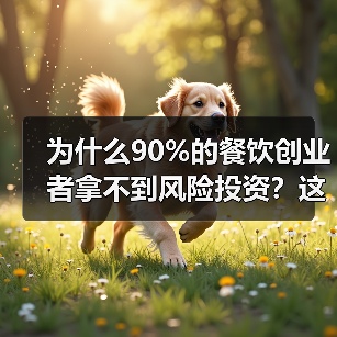 为什么90%的餐饮创业者拿不到风险投资?这5个真相帮你融资成功率提升3倍(图2) 为什么90%的餐饮创业者拿不到风险投资?这5个真相帮你融资成功率提升3倍(图2)