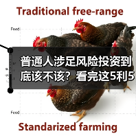 普通人涉足风险投资到底该不该?看完这5利5弊再决定(图1) 普通人涉足风险投资到底该不该?看完这5利5弊再决定(图1)