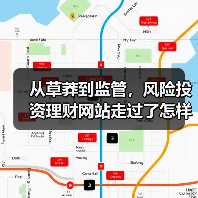 从草莽到监管,风险投资理财网站走过了怎样跌宕的十五年?(图3) 从草莽到监管,风险投资理财网站走过了怎样跌宕的十五年?(图3)