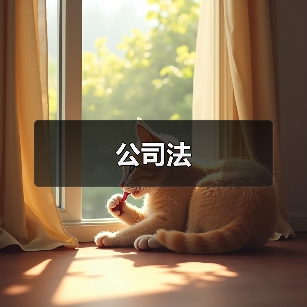 公司法(图3) 公司法(图3)