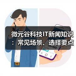 微元谷科技IT新闻知识:常见场景、选择要点与注意事项(图2) 微元谷科技IT新闻知识:常见场景、选择要点与注意事项(图2)