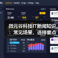 微元谷科技IT新闻知识:常见场景、选择要点与注意事项(图1) 微元谷科技IT新闻知识:常见场景、选择要点与注意事项(图1)