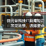 微元谷科技IT新闻知识:常见场景、选择要点与注意事项(图3) 微元谷科技IT新闻知识:常见场景、选择要点与注意事项(图3)