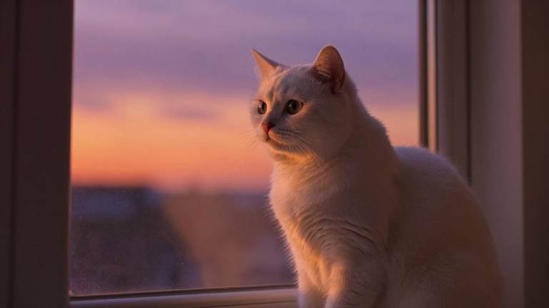 国家健康医疗大数据云脑中心落户天津,医疗科技发展迎来新机遇-火线前沿信息技术有限公司 国家健康医疗大数据云脑中心落户天津,医疗科技发展迎来新机遇-火线前沿信息技术有限公司第一张图